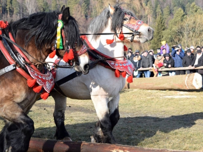 Jubileuszowe Zawody Furmanów za nami! - zdjęcie48