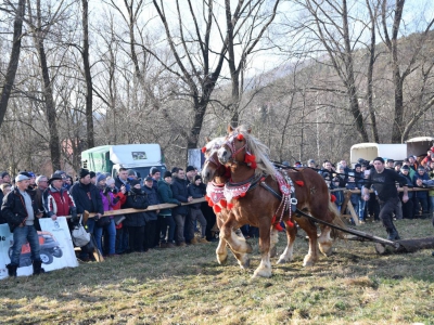 Jubileuszowe Zawody Furmanów za nami! - zdjęcie46