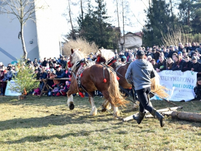 Jubileuszowe Zawody Furmanów za nami! - zdjęcie41