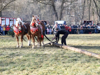 Jubileuszowe Zawody Furmanów za nami! - zdjęcie42