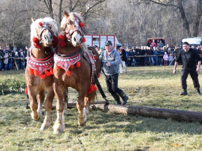 Jubileuszowe Zawody Furmanów za nami! - zdjęcie43