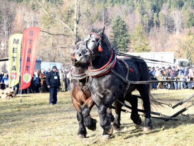 Jubileuszowe Zawody Furmanów za nami! - zdjęcie38