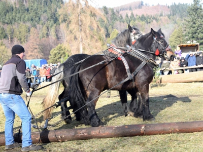 Jubileuszowe Zawody Furmanów za nami! - zdjęcie39