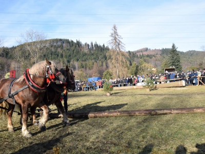 Jubileuszowe Zawody Furmanów za nami! - zdjęcie36