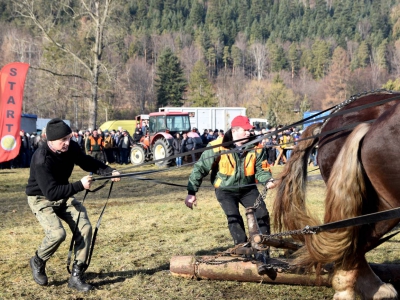 Jubileuszowe Zawody Furmanów za nami! - zdjęcie37