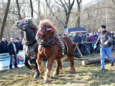 Jubileuszowe Zawody Furmanów za nami! - zdjęcie34