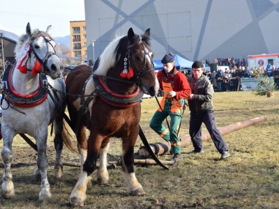 Jubileuszowe Zawody Furmanów za nami! - zdjęcie32