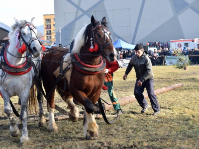 Jubileuszowe Zawody Furmanów za nami! - zdjęcie26