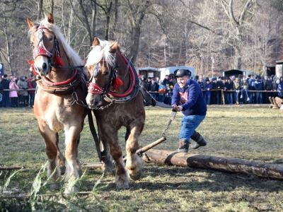 Jubileuszowe Zawody Furmanów za nami! - zdjęcie24