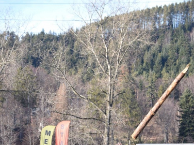 Jubileuszowe Zawody Furmanów za nami! - zdjęcie11