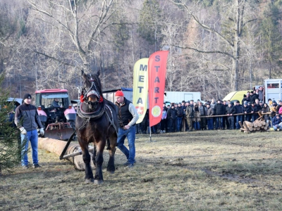 Jubileuszowe Zawody Furmanów za nami! - zdjęcie3