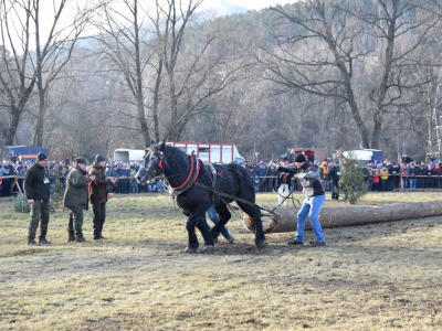 Jubileuszowe Zawody Furmanów za nami! - zdjęcie2