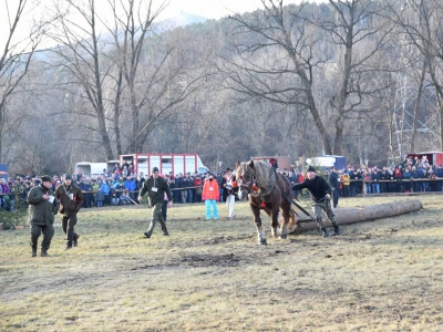 Jubileuszowe Zawody Furmanów za nami! - zdjęcie302