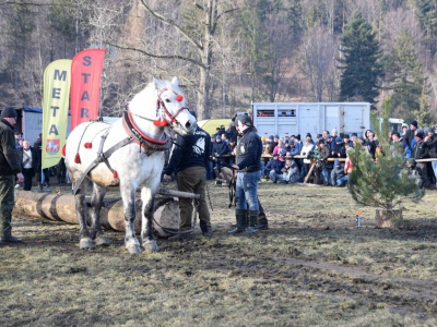 Jubileuszowe Zawody Furmanów za nami! - zdjęcie299