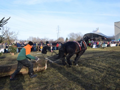 Jubileuszowe Zawody Furmanów za nami! - zdjęcie301