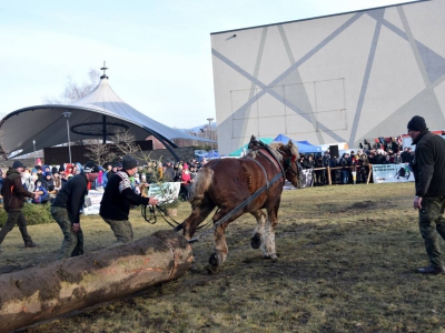 Jubileuszowe Zawody Furmanów za nami! - zdjęcie303