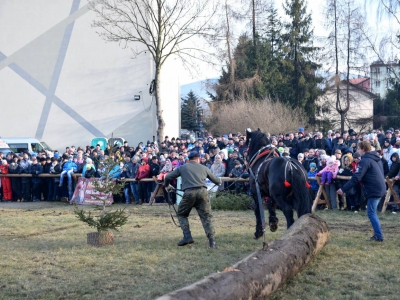 Jubileuszowe Zawody Furmanów za nami! - zdjęcie300