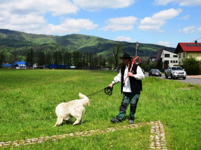 Kto ma owce, ten ma, co chce! - czyli redyk w gminie Węgierska Górka. - zdjęcie43