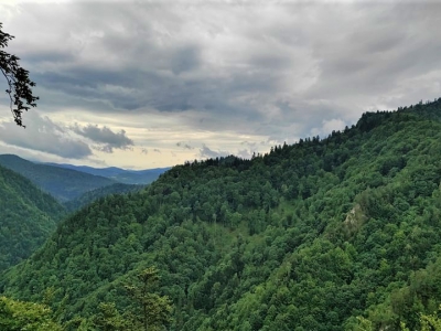 Panorama górska widoczna z Sokolicy.