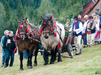 ŁOSSOD 2012 NA FOTOGRAFIACH - zdjęcie2