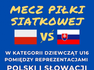 Mecz piłki siatkowej Polska vs Słowacja - zdjęcie1