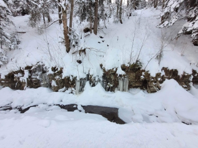 Zimowy spacer na Halę Boraczą - zdjęcie8