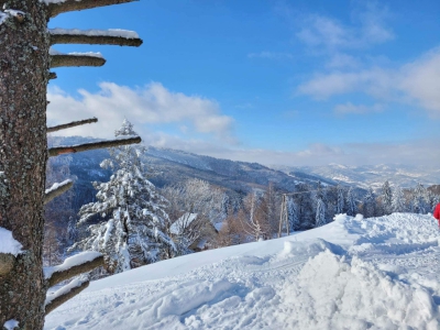 Zimowy spacer na Halę Boraczą - zdjęcie7
