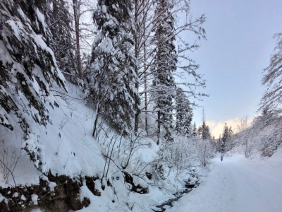 Zimowy spacer na Halę Boraczą - zdjęcie6