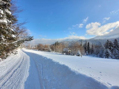 Zimowy spacer na Halę Boraczą - zdjęcie4