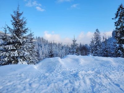 Zimowy spacer na Halę Boraczą - zdjęcie3