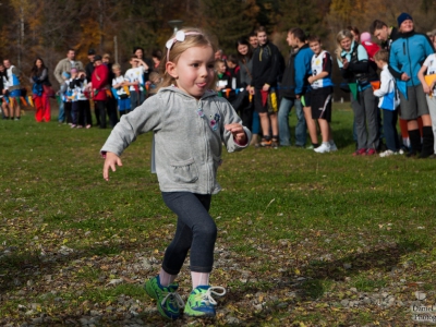 Cross Beskidzki oraz Nordic Walking - Już za nami - zdjęcie52