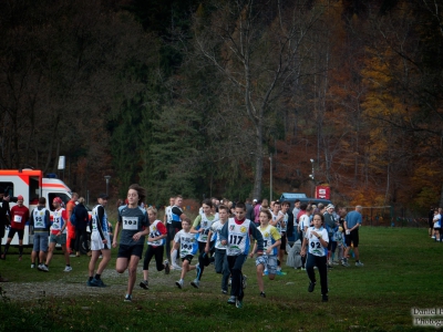 Cross Beskidzki oraz Nordic Walking - Już za nami - zdjęcie47