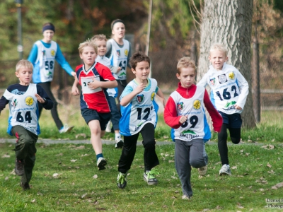 Cross Beskidzki oraz Nordic Walking - Już za nami - zdjęcie18