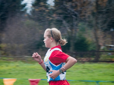 Cross Beskidzki oraz Nordic Walking - Już za nami - zdjęcie2