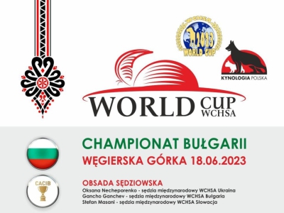 WORLD CUP WCHSA - zdjęcie1