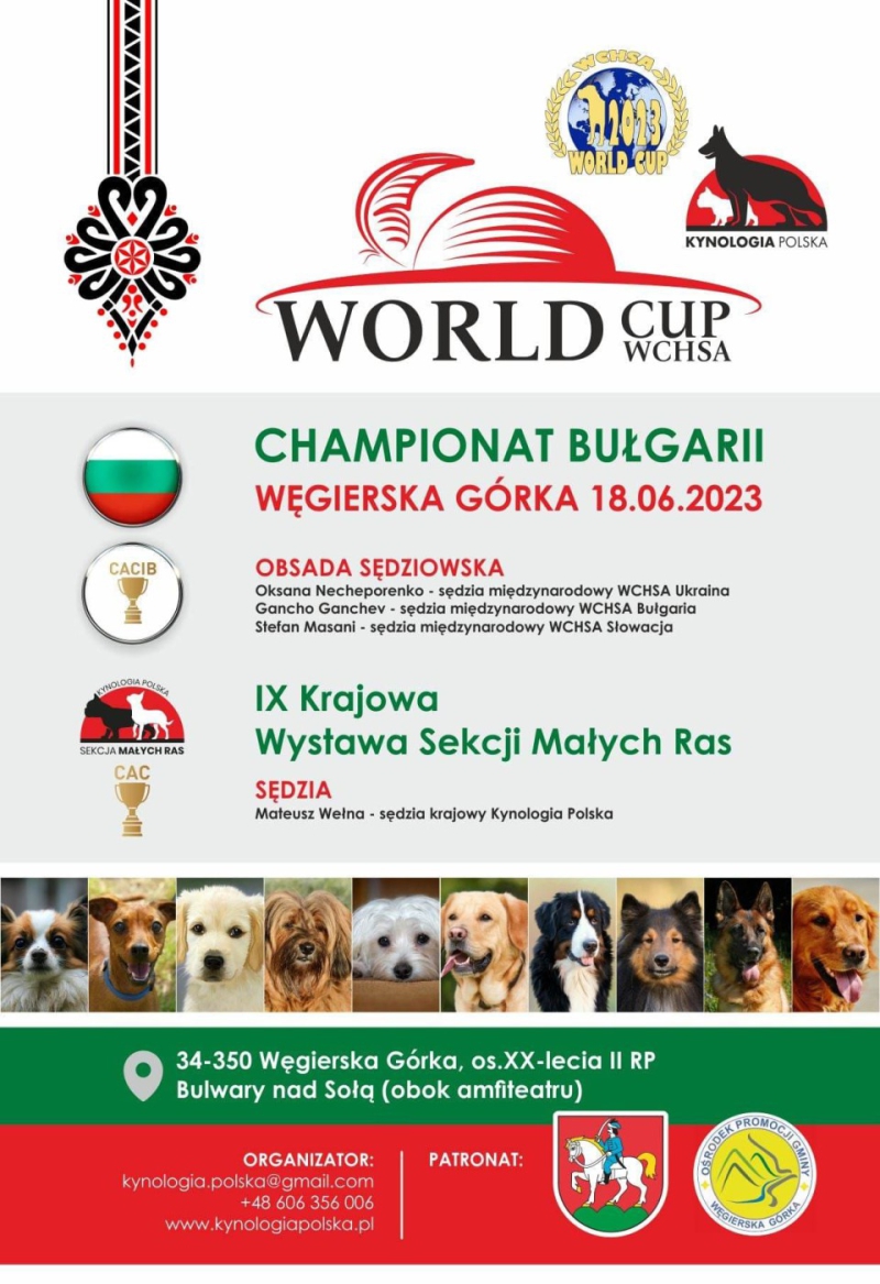 WORLD CUP WCHSA