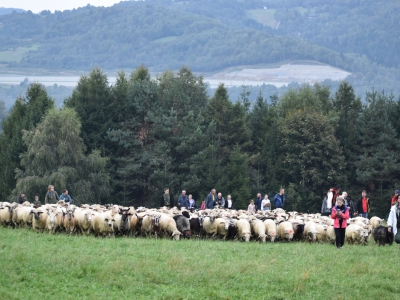 Fotorelacja ŁOSSOD 2023 - zdjęcie217