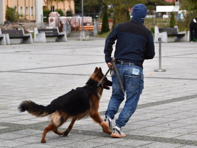 I Ogólnopolskie zawody z zakresu posłuszeństwa - zdjęcie39