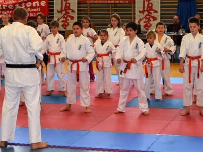 II Turniej Żywieckiego Klubu Karate Kyokushin pod patronatem wójta gminy Piotra Tyrlika - zdjęcie21