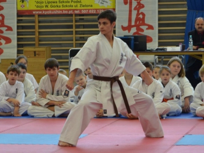 II Turniej Żywieckiego Klubu Karate Kyokushin pod patronatem wójta gminy Piotra Tyrlika - zdjęcie20