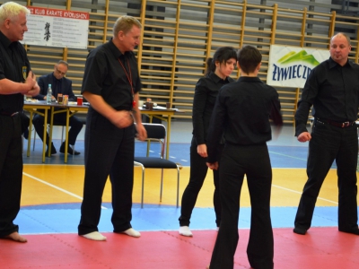 II Turniej Żywieckiego Klubu Karate Kyokushin pod patronatem wójta gminy Piotra Tyrlika - zdjęcie13