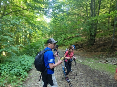 BESKID ŚLĄSKI 