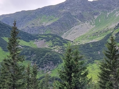 WYCIECZKA W TATRY ZACHODNIE - zdjęcie25