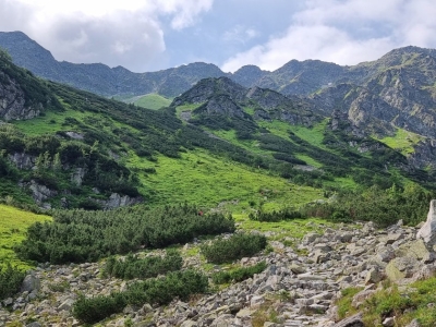 WYCIECZKA W TATRY ZACHODNIE - zdjęcie2