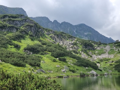 WYCIECZKA W TATRY ZACHODNIE - zdjęcie13